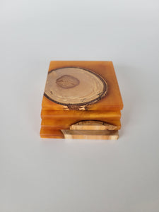 Epoxy & Wood Cookie Coasters - Aztec Gold Epoxy & Solid Wood Cookies - Set of 4